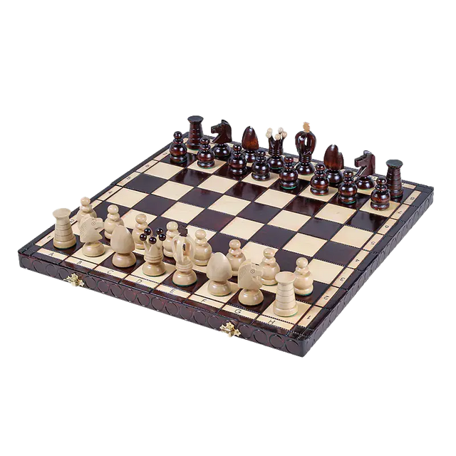 Grand Jeu d'Échecs en Bois Pliable
