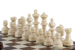 Jeu d'Échecs Magnétique Pas Cher pièces blanches