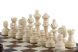 Jeu d'Échecs Magnétique Pas Cher pièces blanches