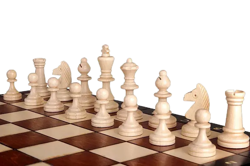 347409_1 347409_1