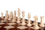 Jeu d'Échecs Magnétique Pliable pièces blanches